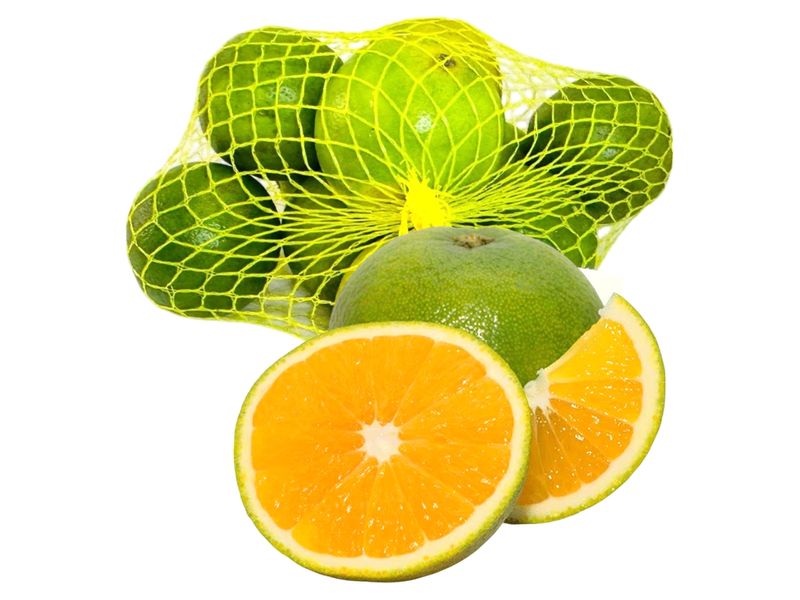 94959_01.jpg