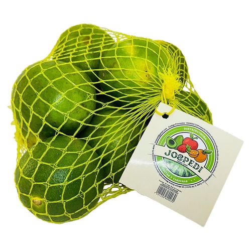 Red Jospedi de Naranjas - 10 uds