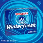 Wrigley-Winterfresh-15-Stick-6-1251.jpg
