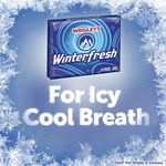 Wrigley-Winterfresh-15-Stick-7-1251.jpg