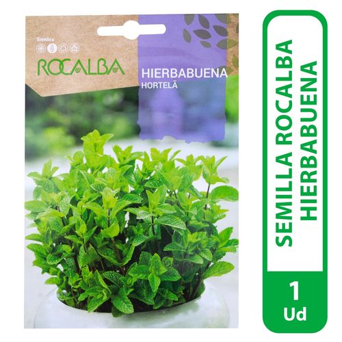 Semilla Rocalba Hierbabuena