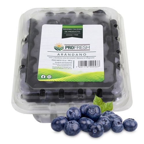 Arandanos Azules Clamshell 340gr