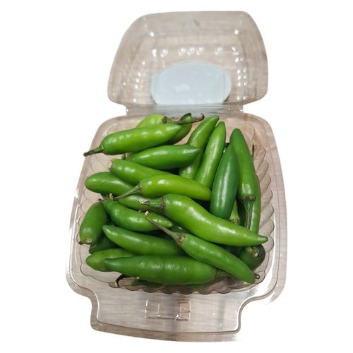 Chile Serrano Clam Shalom Uxc24