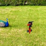 37159_03.jpg