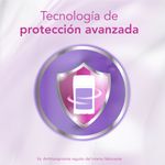 38620_06.jpg