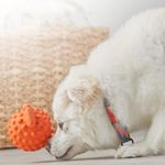 GTIN-7650230938890-04