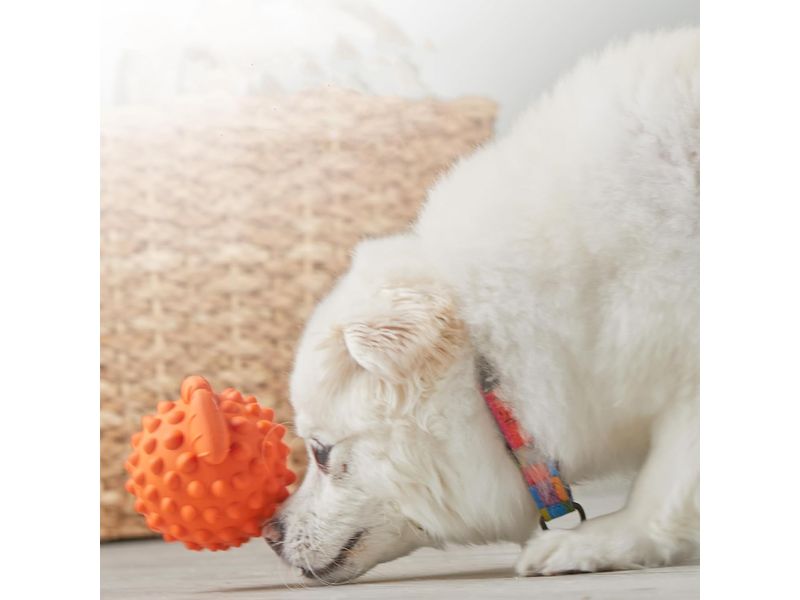 GTIN-7650230938890-04