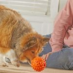 GTIN-7650230938890-05