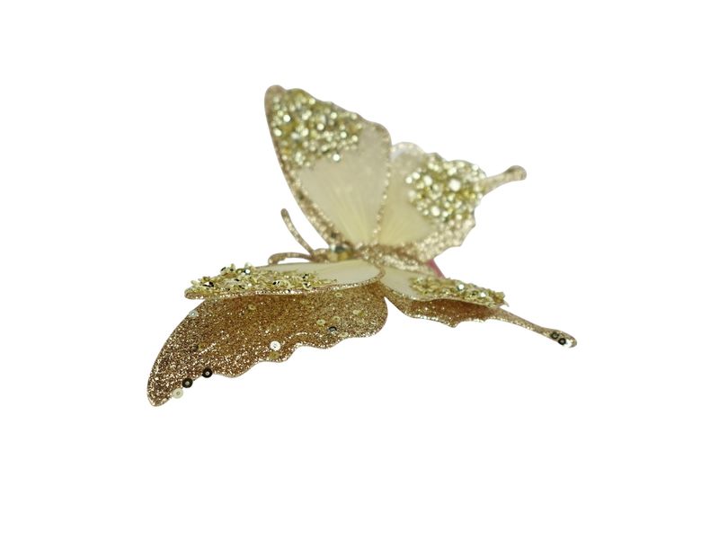 GTIN-0632971702913-02