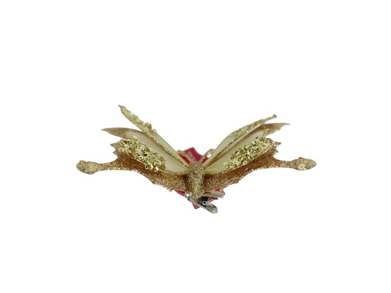 GTIN-0632971702913-06