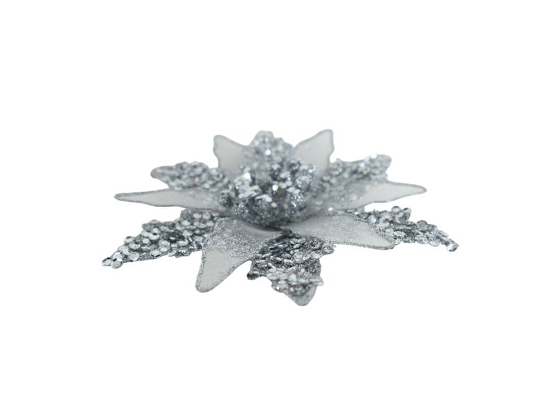 GTIN-0632971702975-05