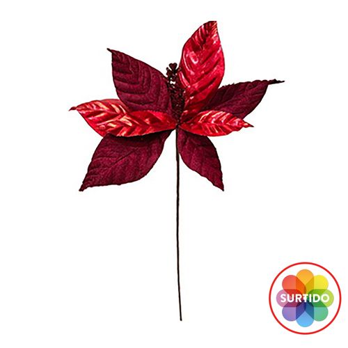 Flor Navidad Roja o Dorada