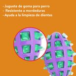 GTIN-8764161008696-05