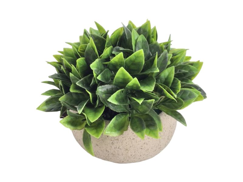 GTIN-6974221246445-01