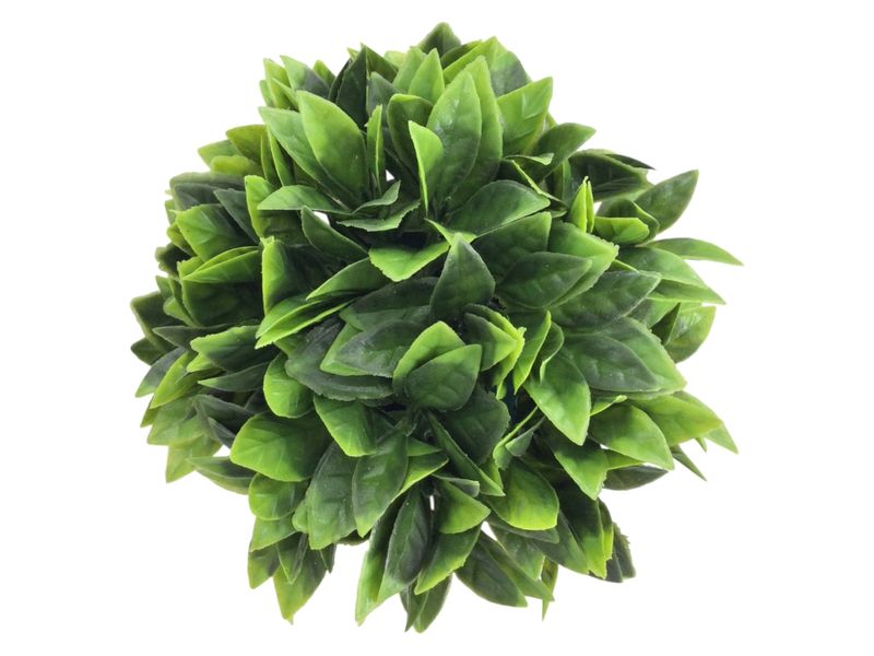 GTIN-6974221246445-02