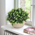 GTIN-6974221246445-04