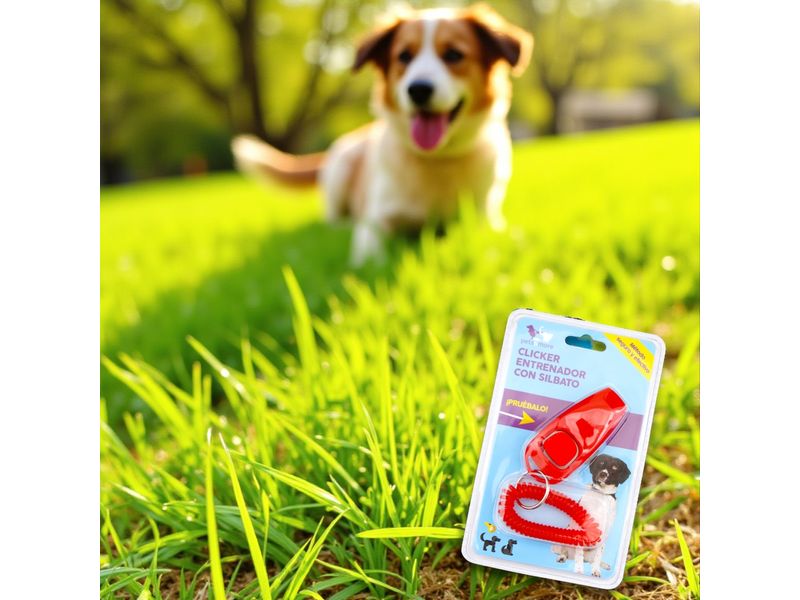 GTIN-0019213853747-03