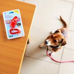 GTIN-0019213853747-04