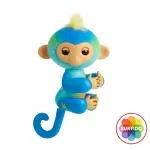 GTIN-0771171131106-01