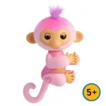 GTIN-0771171131106-03