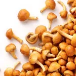 GTIN-7402000004157-04