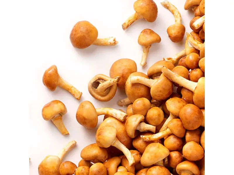 GTIN-7402000004157-04