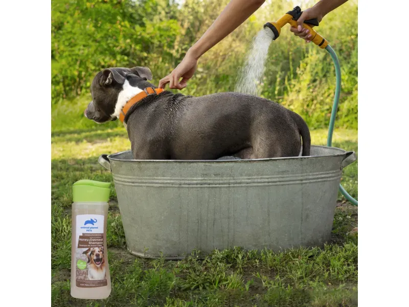 GTIN-7506267913266-04