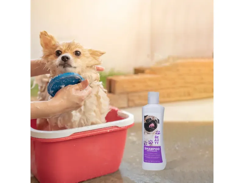 GTIN-7506267902253-04