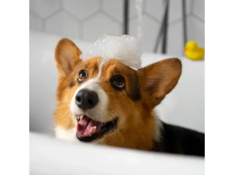 GTIN-7506267913310-05