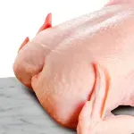 GTIN-2595100000008-05