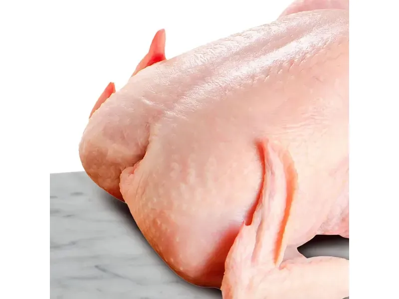 GTIN-2595100000008-05