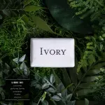 GTIN-0037000321361-02