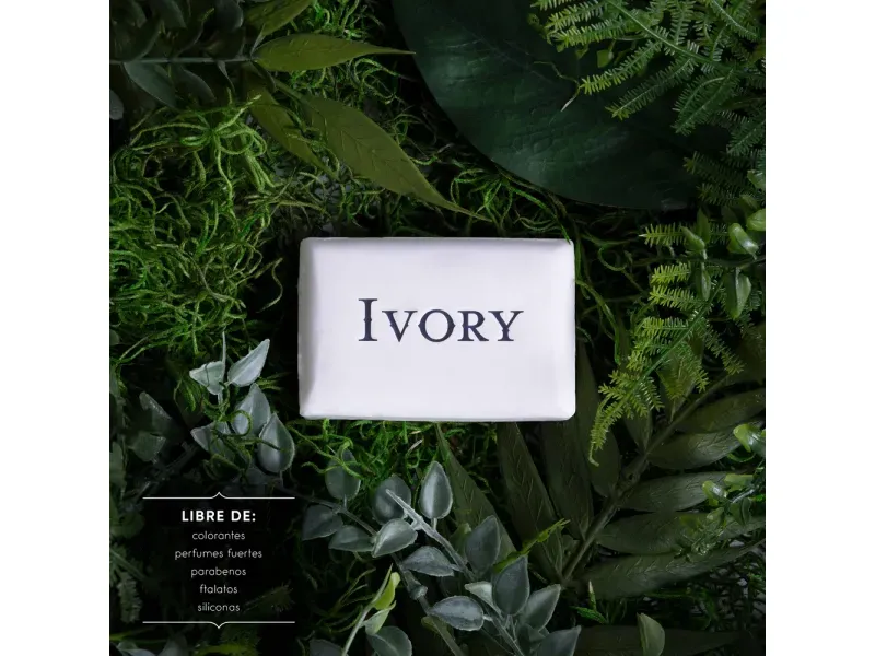 GTIN-0037000321361-02