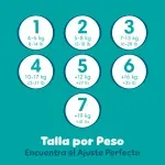 GTIN-0037000862338-08