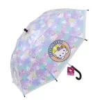 GTIN-1041838411261-01