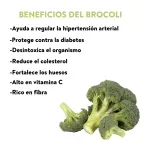 GTIN-0000000088145-04