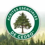 2025-11-19T21:06:25.785Z