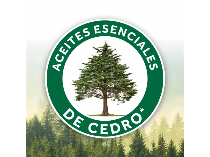 2025-11-19T21:06:25.785Z