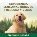 2025-11-19T21:06:26.436Z