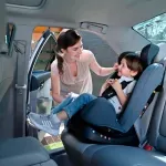 GTIN-7501036976077-09