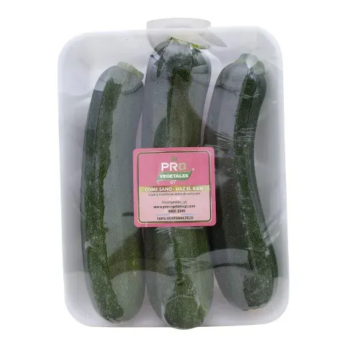 Succini Provegetales bandeja - 3 Unidades