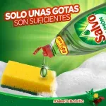 GTIN-7500435146678-06