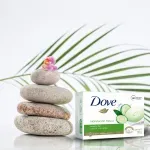 GTIN-7506306246645-02