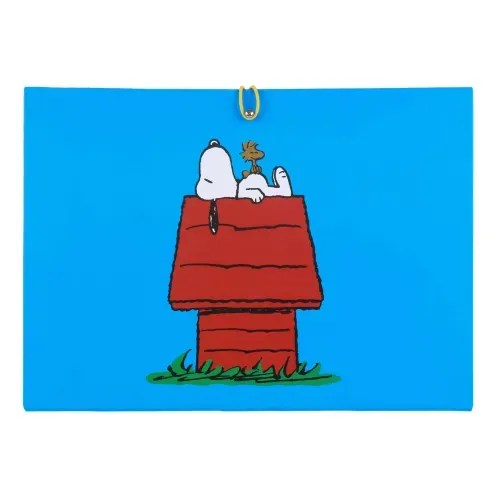 Snoopy Azul Archivero Con Divisiones