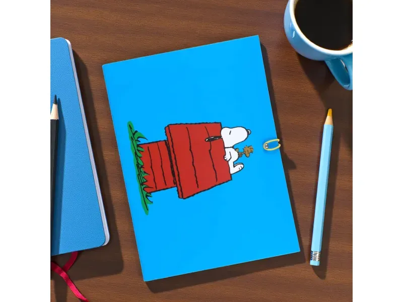 GTIN-6977900897259-06