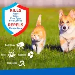 GTIN-0039079058964-06