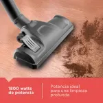 GTIN-0050875822979-07