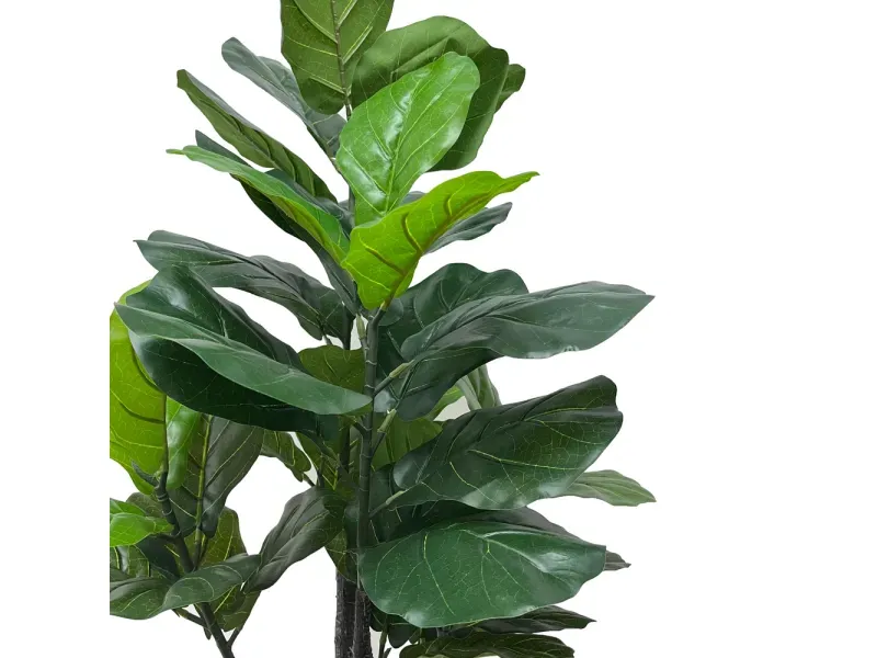 GTIN-6974221246629-02