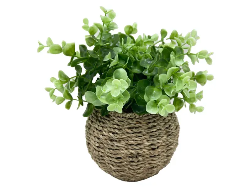 GTIN-6974221244380-01