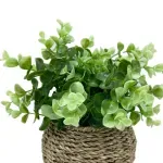 GTIN-6974221244380-02